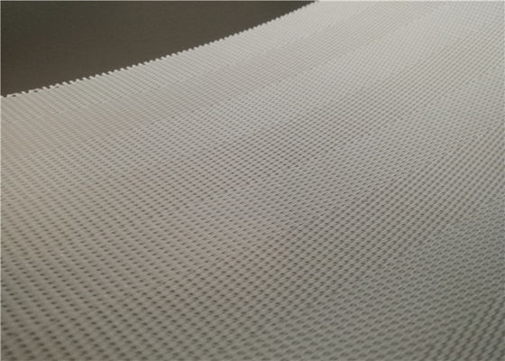 Đai khử nước bùn lưới Polyester cho máy ép làm giấy