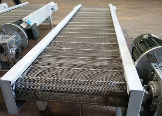 Dây chuyền băng tải chuỗi rau quả làm sạch bằng thép không gỉ 201